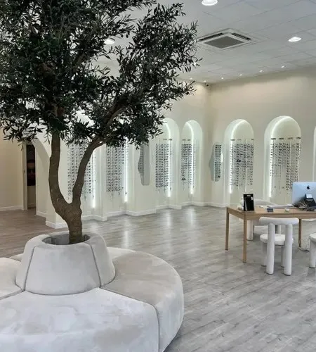 L'intérieur de la boutique : olivier central, banquettes crème et arches de montures